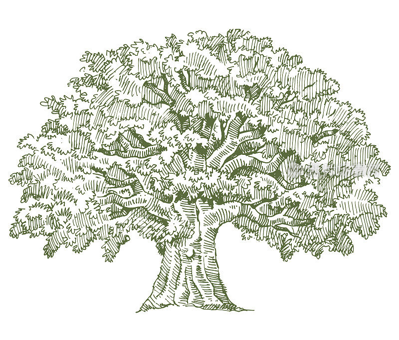 Mono tree doodle illustration